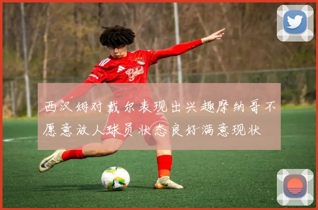 西汉姆对戴尔表现出兴趣摩纳哥不愿意放人球员状态良好满意现状