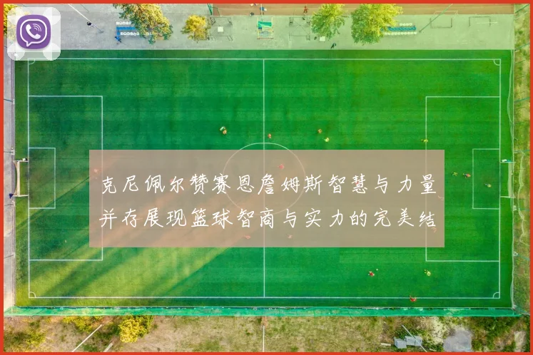 克尼佩尔赞赛恩詹姆斯智慧与力量并存展现篮球智商与实力的完美结合