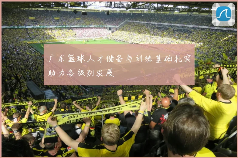 广东篮球人才储备与训练基础扎实助力各级别发展