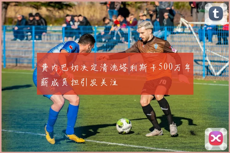 费内巴切决定清洗塔利斯卡500万年薪成负担引发关注