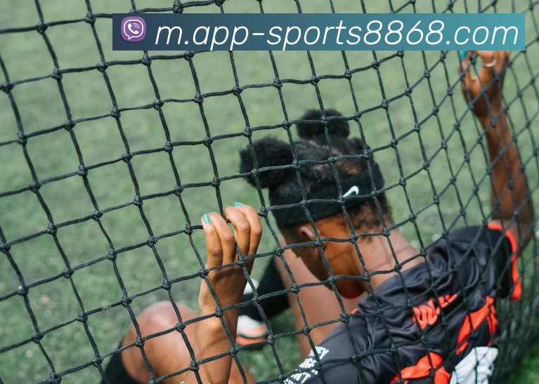 8868体育APP 高清赛事图